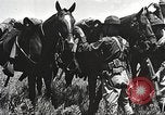 Image of Cavalry Rifle Platoon Kansas United States USA, 1933, second 29 stock footage video 65675062676