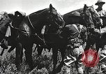 Image of Cavalry Rifle Platoon Kansas United States USA, 1933, second 32 stock footage video 65675062676