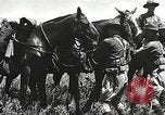 Image of Cavalry Rifle Platoon Kansas United States USA, 1933, second 33 stock footage video 65675062676