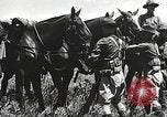 Image of Cavalry Rifle Platoon Kansas United States USA, 1933, second 34 stock footage video 65675062676