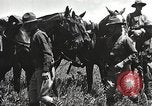Image of Cavalry Rifle Platoon Kansas United States USA, 1933, second 37 stock footage video 65675062676