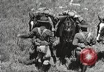Image of Cavalry Rifle Platoon Kansas United States USA, 1933, second 39 stock footage video 65675062676