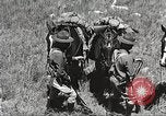 Image of Cavalry Rifle Platoon Kansas United States USA, 1933, second 40 stock footage video 65675062676