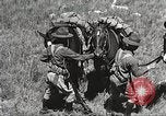Image of Cavalry Rifle Platoon Kansas United States USA, 1933, second 44 stock footage video 65675062676