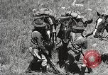 Image of Cavalry Rifle Platoon Kansas United States USA, 1933, second 49 stock footage video 65675062676