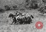 Image of Cavalry Rifle Platoon Kansas United States USA, 1933, second 52 stock footage video 65675062676