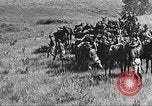 Image of Cavalry Rifle Platoon Kansas United States USA, 1933, second 58 stock footage video 65675062676
