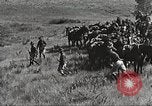 Image of Cavalry Rifle Platoon Kansas United States USA, 1933, second 59 stock footage video 65675062676