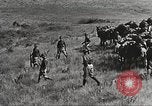 Image of Cavalry Rifle Platoon Kansas United States USA, 1933, second 60 stock footage video 65675062676