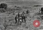 Image of Cavalry Rifle Platoon Kansas United States USA, 1933, second 62 stock footage video 65675062676