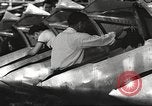 Image of B-26 Marauder United States USA, 1941, second 57 stock footage video 65675062678