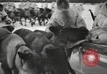 Standbild russische Soldaten Ostfront europäischen Theater, 1943, aus Sekunde 14 historischem Filmmaterial Videoclip 65675062686