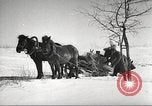 Standbild russische Soldaten Ostfront europäischen Theater, 1943, aus Sekunde 47 historischem Filmmaterial Videoclip 65675062686