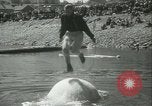 Image log-championnat de laminage Port Townsend Washington USA, 1937, de la seconde 31 séquences d'archives historiques vidéo 65675062689