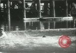 Image log-championnat de laminage Port Townsend Washington USA, 1937, de la seconde 51 séquences d'archives historiques vidéo 65675062689