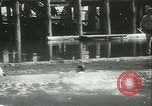 Image log-championnat de laminage Port Townsend Washington USA, 1937, de la seconde 52 séquences d'archives historiques vidéo 65675062689
