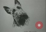 Image of painting exhibition New York City USA, 1937, second 42 stock footage video 65675062690