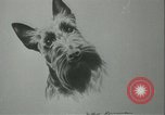 Image of painting exhibition New York City USA, 1937, second 44 stock footage video 65675062690