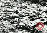 Standbild Sowjetische Massaker von Katyn Massengrab Winniza in der Ukraine Sowjetunion, 1943, aus Sekunde 12 historischem Filmmaterial Videoclip 65675062699