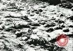 Standbild Sowjetische Massaker von Katyn Massengrab Winniza in der Ukraine Sowjetunion, 1943, aus Sekunde 13 historischem Filmmaterial Videoclip 65675062699