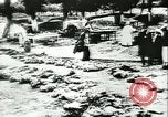 Standbild Sowjetische Massaker von Katyn Massengrab Winniza in der Ukraine Sowjetunion, 1943, aus Sekunde 23 historischem Filmmaterial Videoclip 65675062699