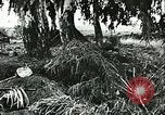 Standbild Deutsche Truppen in den Gräben und foxholes Tunesien Nordafrika, 1942, aus Sekunde 16 historischem Filmmaterial Videoclip 65675062709