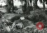 Standbild Deutsche Truppen in den Gräben und foxholes Tunesien Nordafrika, 1942, aus Sekunde 17 historischem Filmmaterial Videoclip 65675062709