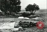 Standbild Deutsche Truppen in den Gräben und foxholes Tunesien Nordafrika, 1942, aus Sekunde 42 historischem Filmmaterial Videoclip 65675062709