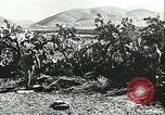 Standbild Deutsche Truppen in den Gräben und foxholes Tunesien Nordafrika, 1942, aus Sekunde 55 historischem Filmmaterial Videoclip 65675062709