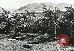 Standbild Deutsche Truppen in den Gräben und foxholes Tunesien Nordafrika, 1942, aus Sekunde 57 historischem Filmmaterial Videoclip 65675062709