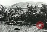 Standbild Deutsche Truppen in den Gräben und foxholes Tunesien Nordafrika, 1942, aus Sekunde 58 historischem Filmmaterial Videoclip 65675062709