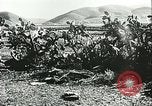 Standbild Deutsche Truppen in den Gräben und foxholes Tunesien Nordafrika, 1942, aus Sekunde 59 historischem Filmmaterial Videoclip 65675062709