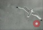 Image of German U-boats returning home Saint Nazaire France, 1942, second 21 stock footage video 65675062713