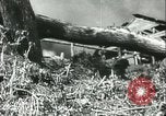Image des soldats allemands à la rivière Don la Russie, 1942, de la seconde 22 séquences d'archives historiques vidéo 65675062716
