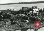 Image des soldats allemands à la rivière Don la Russie, 1942, de la seconde 37 séquences d'archives historiques vidéo 65675062716
