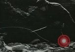 Image of German soldiers Russia, 1942, second 28 stock footage video 65675062718