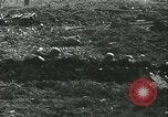 Image of German soldiers Russia, 1942, second 59 stock footage video 65675062718
