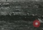 Image of German soldiers Russia, 1942, second 60 stock footage video 65675062718