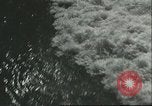 Image of United States Coast Guards United States USA, 1945, second 6 stock footage video 65675062720