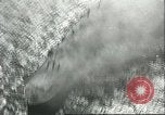 Image of United States Coast Guard United States USA, 1945, second 39 stock footage video 65675062725