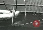 Image of United States Coast Guard Washington DC USA, 1945, second 57 stock footage video 65675062726