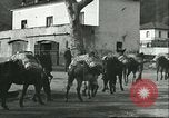 Image of United States troops Italy, 1944, second 59 stock footage video 65675062728