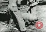 Image of 8th Army Air Forces European Theater, 1944, second 51 stock footage video 65675062729
