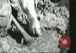 Image of Merchant Marine tall sailing clipper ships United States USA, 1942, second 16 stock footage video 65675062734