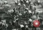 Image of United States Merchant Marine development United States USA, 1898, second 25 stock footage video 65675062735