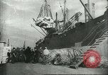 Image of United States Merchant Marines in World War 1 United States USA, 1918, second 61 stock footage video 65675062736