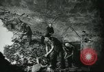Image le traitement de l'engrais l'Europe, 1945, de la seconde 5 séquences d'archives historiques vidéo 65675062742