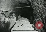 Image le traitement de l'engrais l'Europe, 1945, de la seconde 14 séquences d'archives historiques vidéo 65675062742