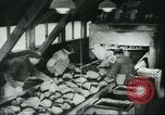 Image le traitement de l'engrais l'Europe, 1945, de la seconde 28 séquences d'archives historiques vidéo 65675062742