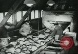 Image le traitement de l'engrais l'Europe, 1945, de la seconde 29 séquences d'archives historiques vidéo 65675062742